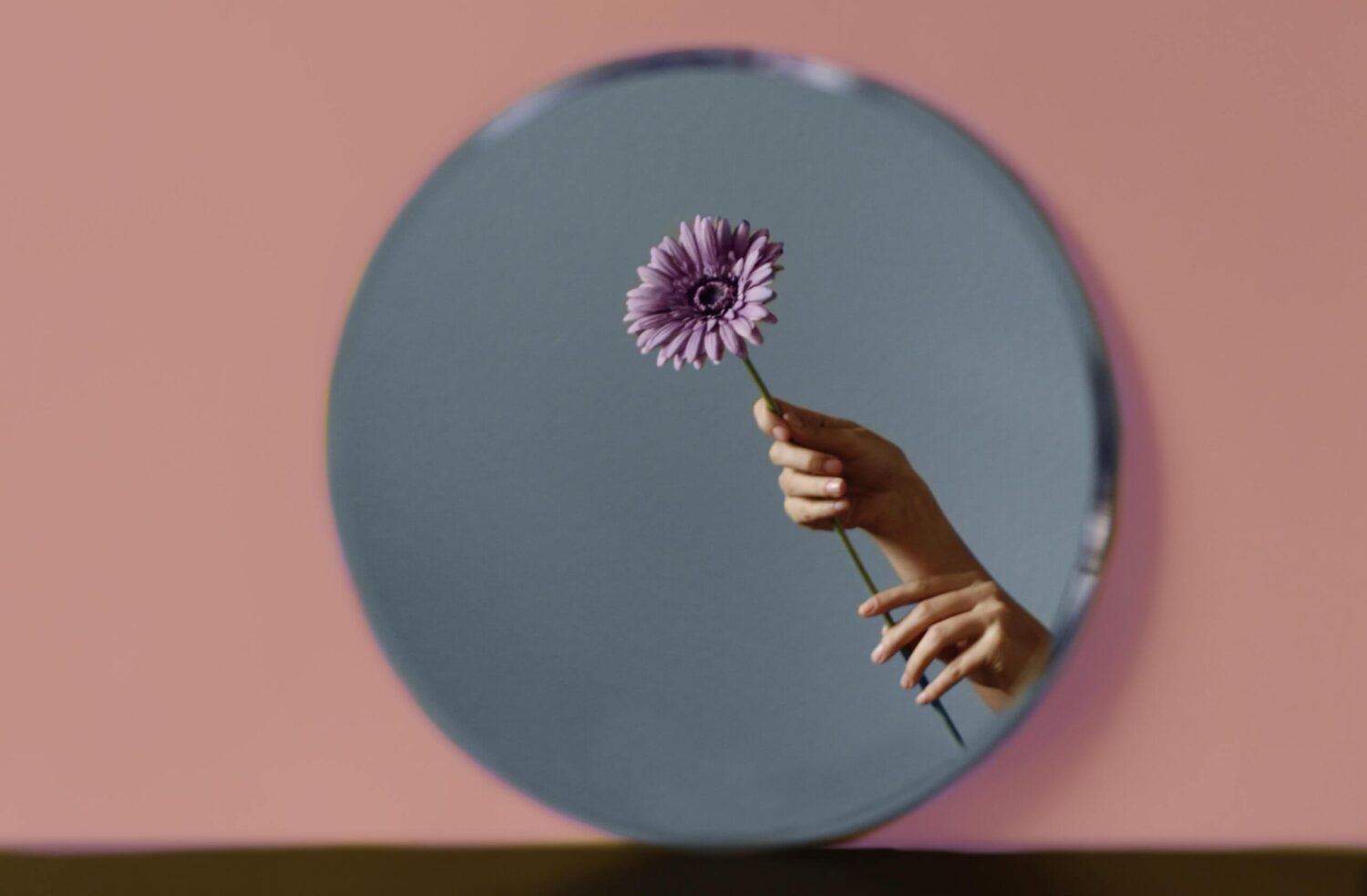 Hand houdt een paarse bloem voor een ronde spiegel tegen een roze achtergrond