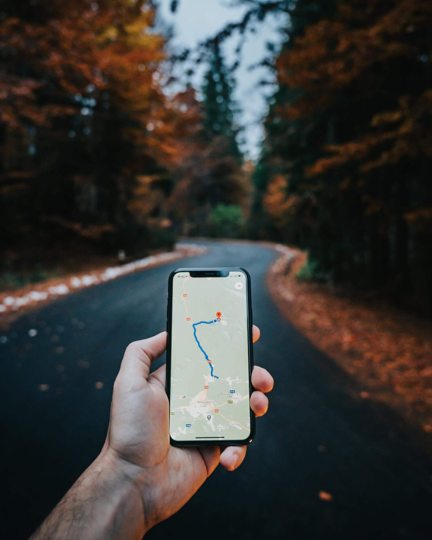 Hand met smartphone waarop een routekaart zichtbaar is, op een weg door een bos