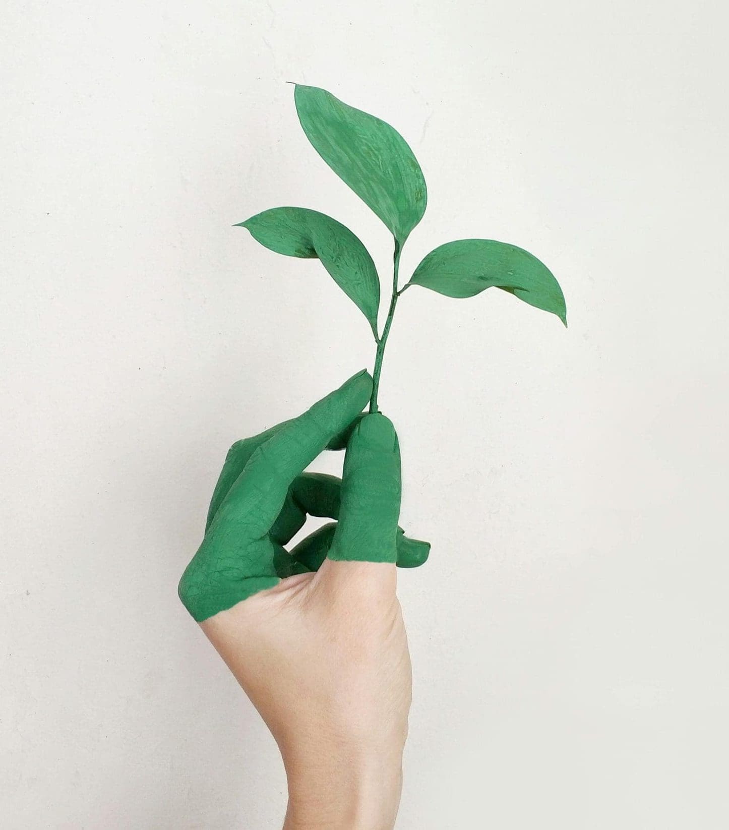 Hand met groene verf houdt een plantje vast als symbool voor groei en ontwikkeling