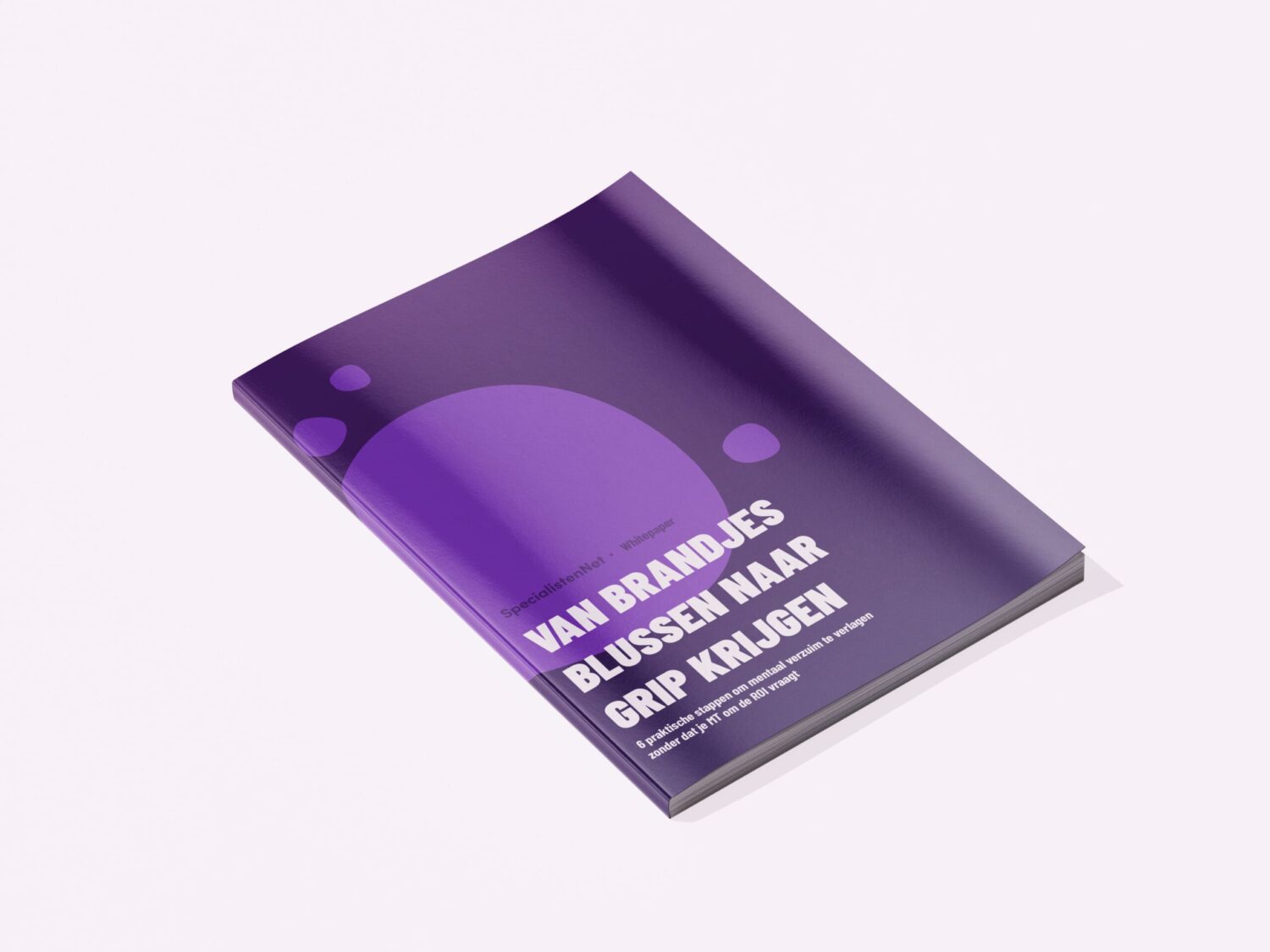 whitepaper algemeen, Van brandjes blussen naar grip krijgen